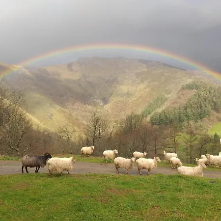 Goxo-goxo * Эрресиль