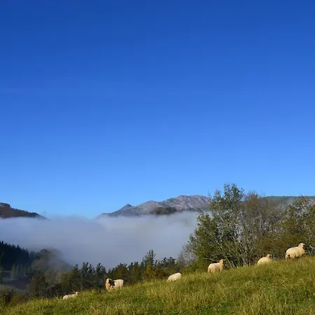 Летний дом Goxo-goxo